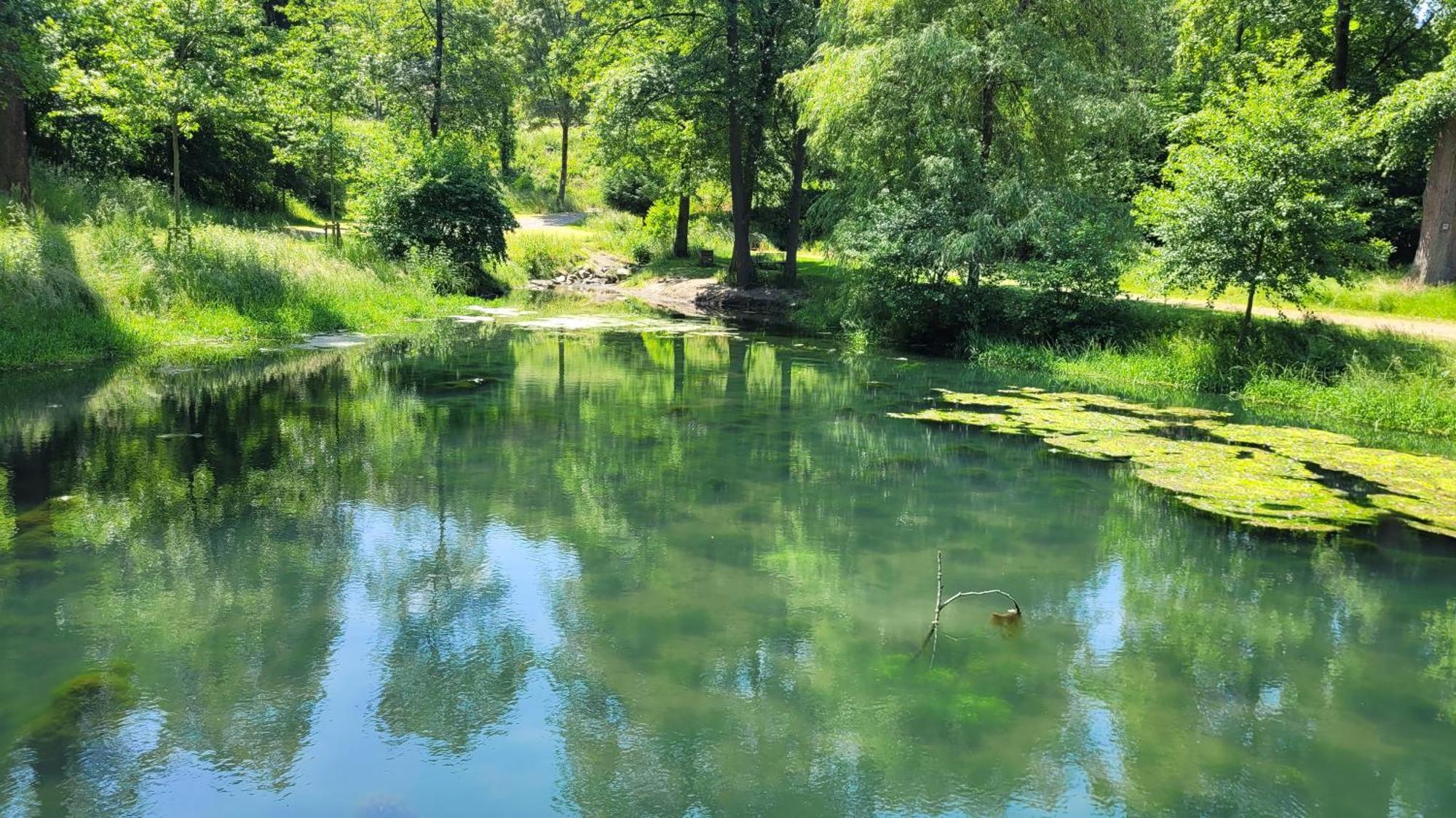 Urlaub Am Rhein, Ferienwohnung Mit Garten Boppard Zewnętrze zdjęcie